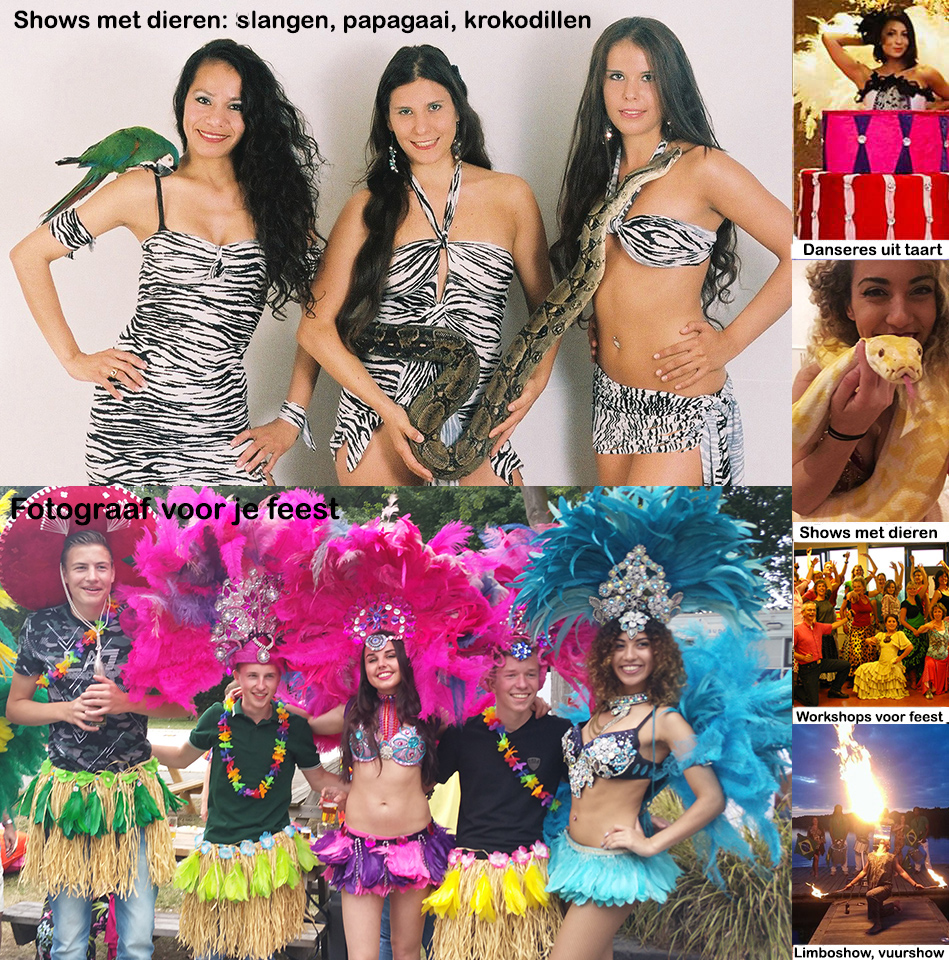 Workshop Samba en Live Muziek